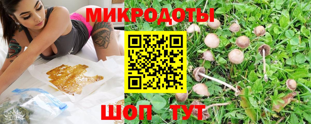 Псилоцибиновые грибы Psilocybine cubensis Урюпинск